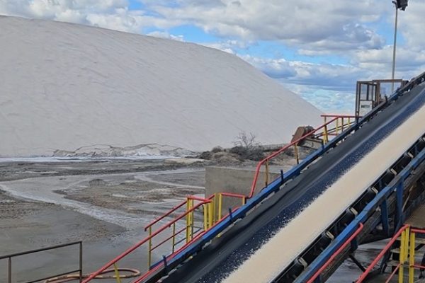 489648078_1220353679861141_8920813220644572288_n agro 489648078_1220353679861141_8920813220644572288_n agro