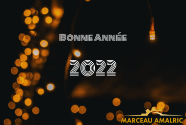 Voeux 2021 Marceau Amalric